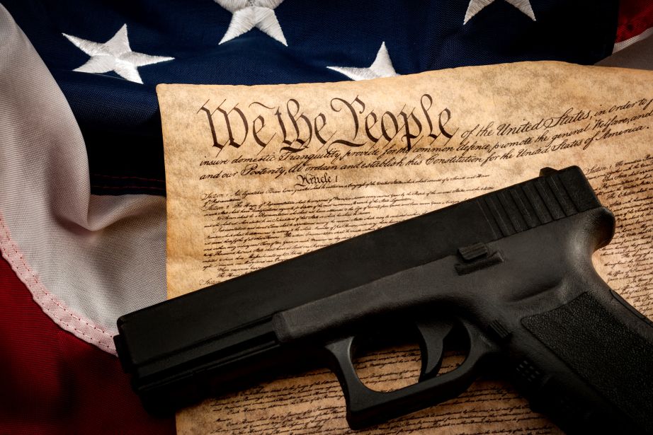 Gun Owners Who Want to Transfer Arms Have No Right of Privacy From Government
