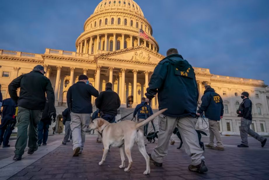 Federal K-9 units prepare for a security sweep in preparation for the inauguration ceremonies on Capitol Hill in Washington, Tuesday, Jan. 19, 2021. (AP Photo/J. Scott Applewhite)